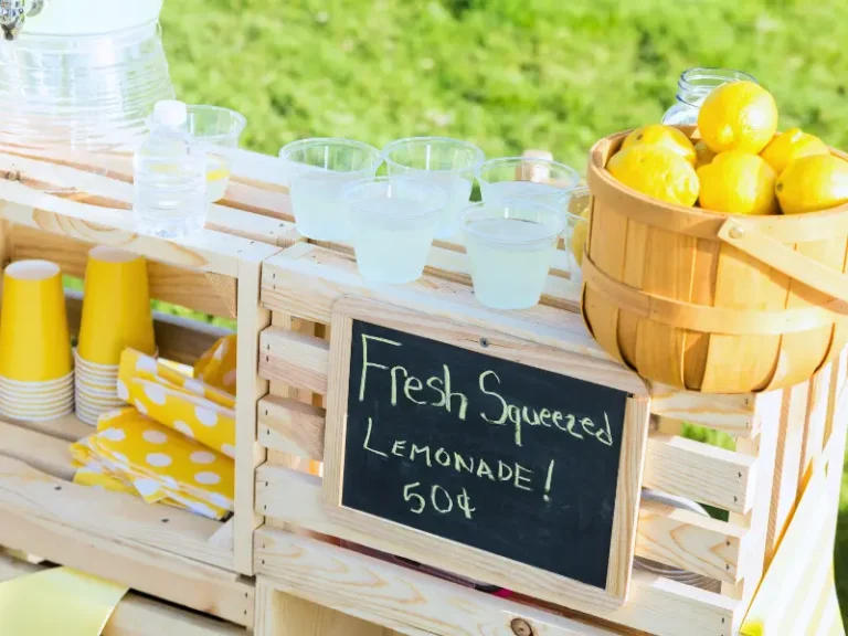 A lemonade stand selling one cup of lemonade for 50 cents.