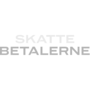 Skattebetalerne
